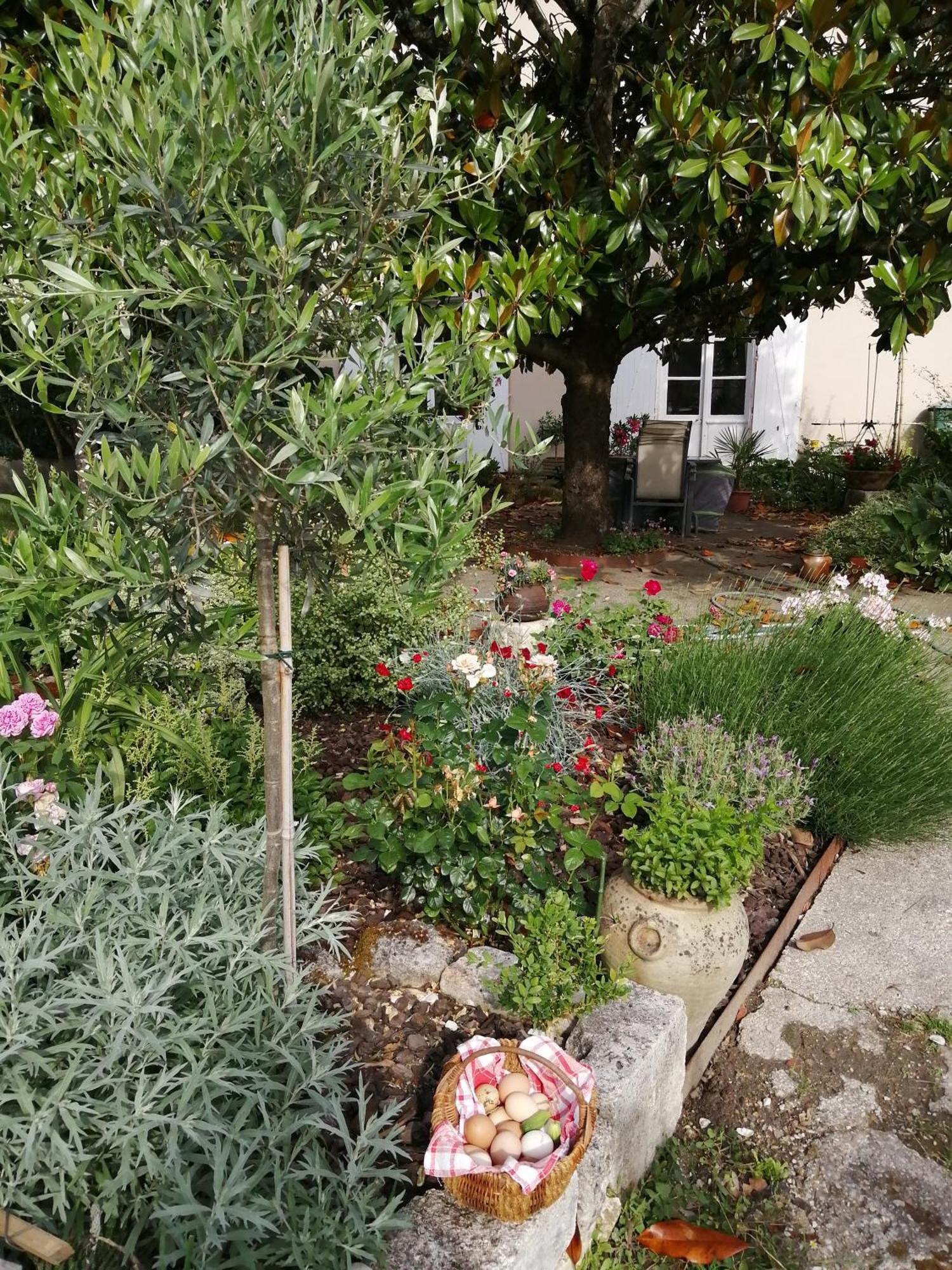 Bed and Breakfast Au Logis De Vechillot Angoulême Exterior foto