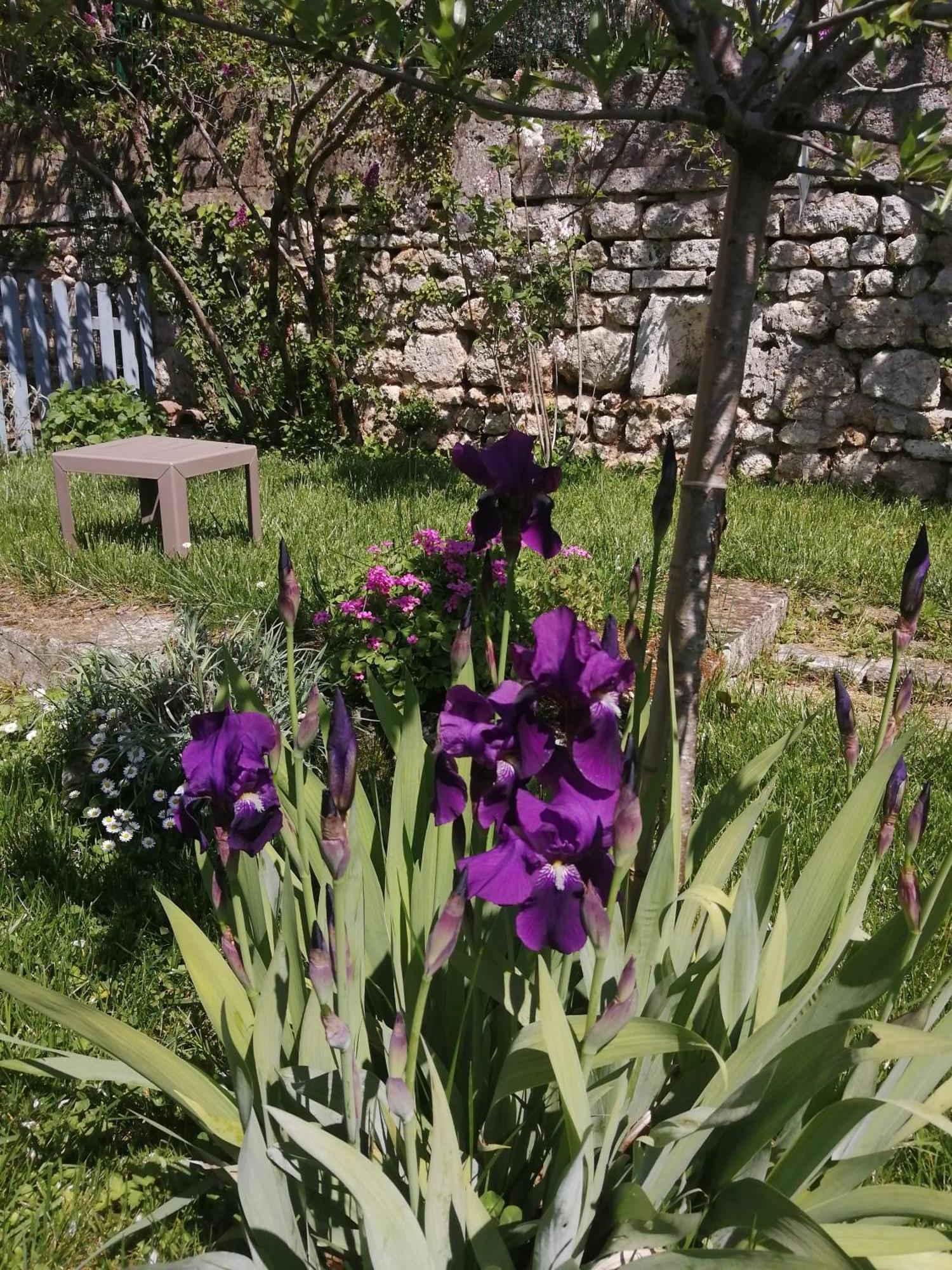 Bed and Breakfast Au Logis De Vechillot Angoulême Exterior foto